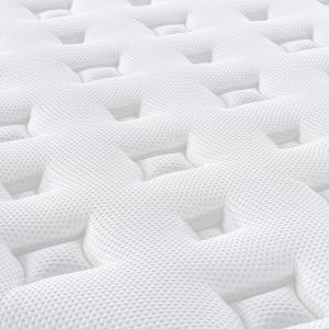 Cashmere Prince - Image 2